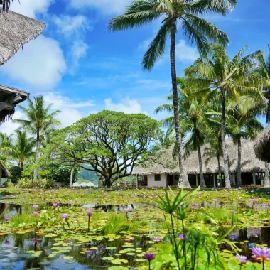 L’impegno per tutelare le specie in pericolo nelle Isole di Tahiti