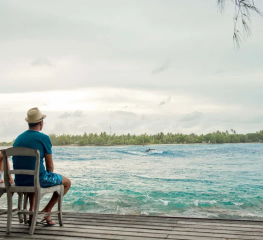 Observation de dauphin à Rangiroa © Hélène Havard