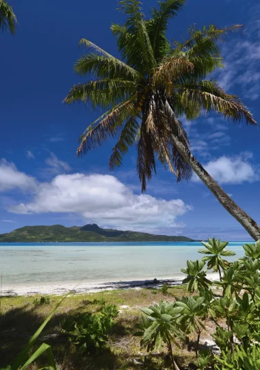 Vue du Tubuai depuis un de ses motu © Philippe Bacchet