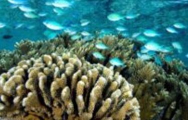 Vacanze a Bora Bora