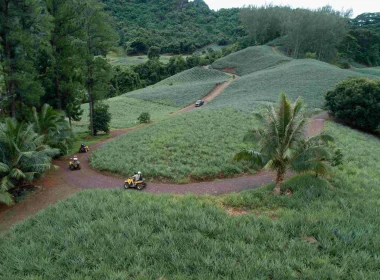 Tour en quad dans les champs d'ananas ©_Tahiti Fly Shoot