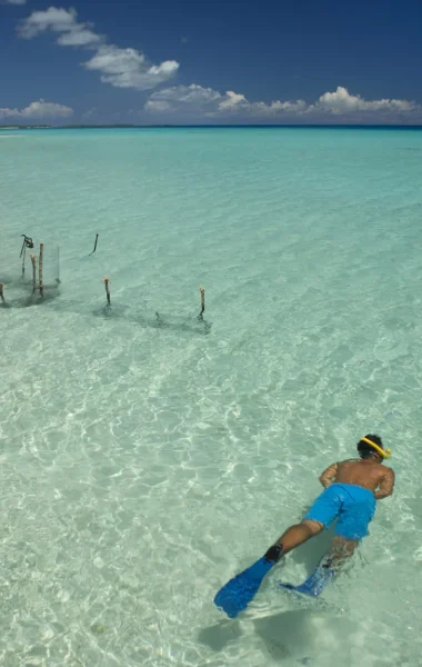 Plongée en masque et tuba aux Tuamotu©_Alexandre Voyer