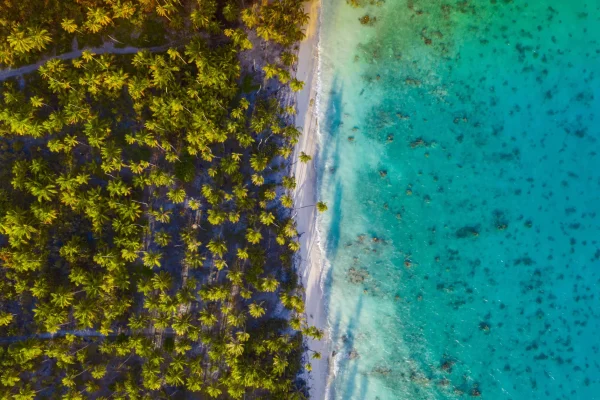 Una guida blogger per il meglio di Tahiti