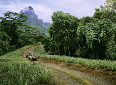 Excursion quad Moorea © Myles McGuinness