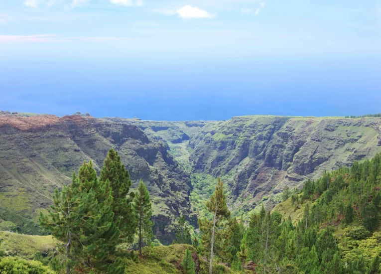 Vue depuis un des plateaux de Nuku Hiva © Tahiti Tourisme