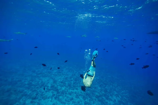 Le 10 migliori attività da provare a Bora Bora
