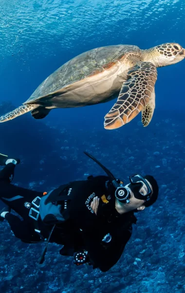 Plongée sous-marine à Fakarava © Frédérique Legrand