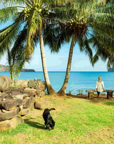 Voyager a Tahiti Et Ses Îles avec des animaux © Grégoire Le Bacon