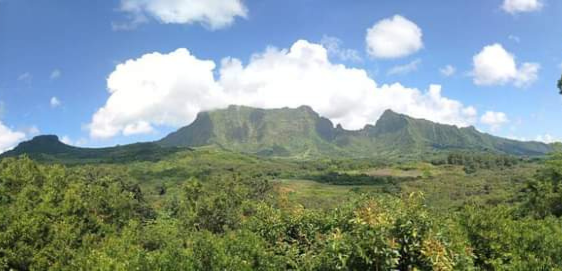 https://tahititourisme.it/wp-content/uploads/2023/02/SmileWithWilly_photocouverture_1140x550px.png
